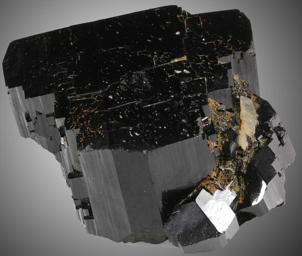 Schorl (Black Tourmaline) Erongo Mountains, Namibia #31520